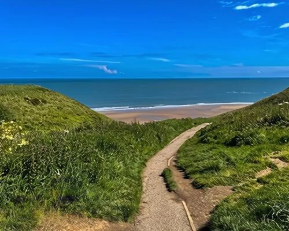 Dog walks on the beach and cliff top